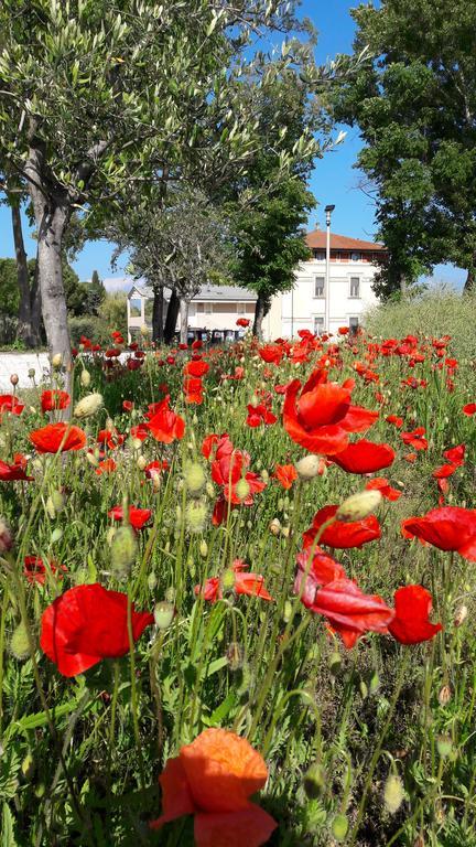 Villaggio Esmera Desenzano del Garda Exterior foto